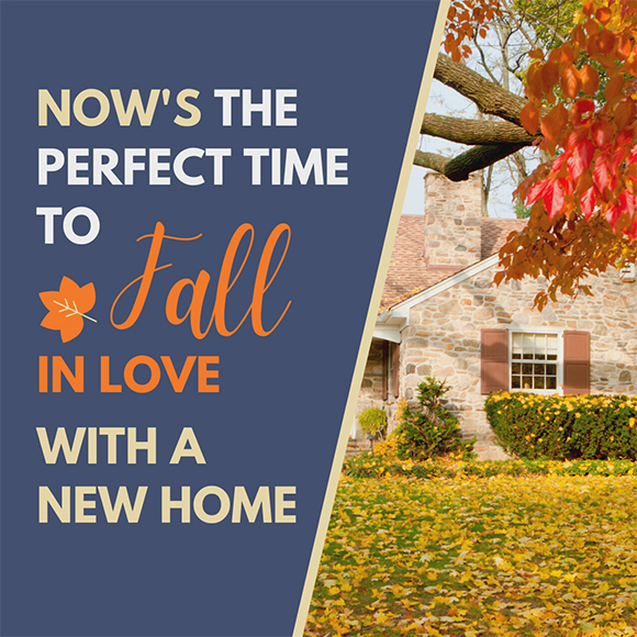 Time to FALL In Love!