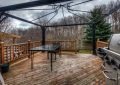 164bushclover113-1.jpg