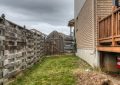 164bushclover117-1.jpg