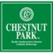 chestnut